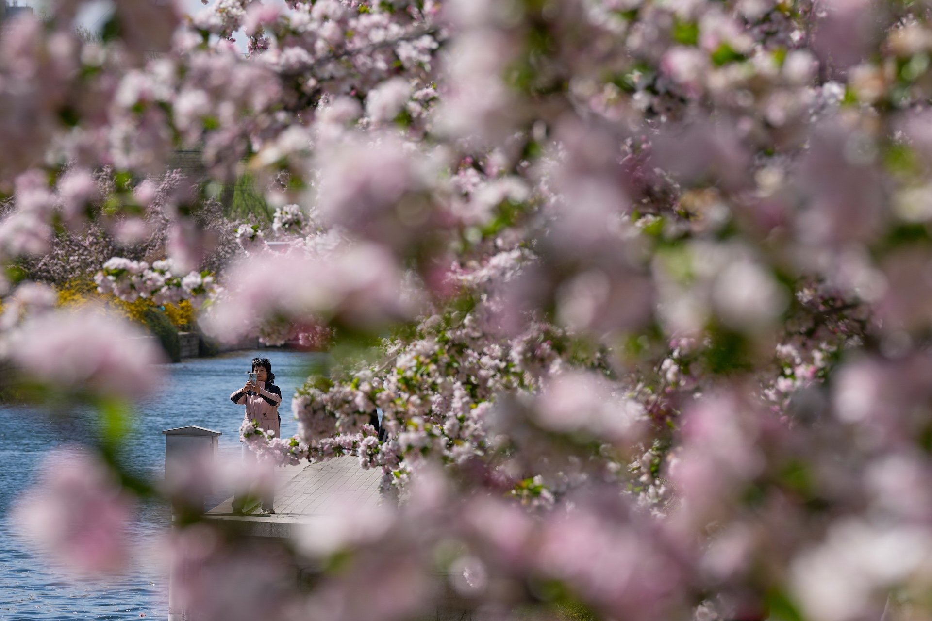 Perceptions of China are Warming in the U.S.