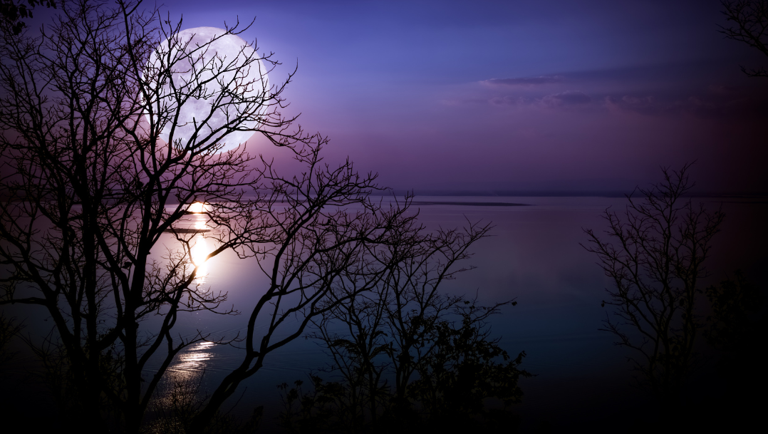 What Your Moon Sign Craves (But Rarely Admits)