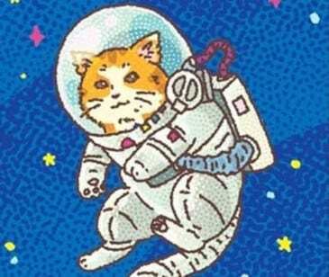 The Point of Pumpkin - on Riley August's 'The Last Gifts of the Universe'