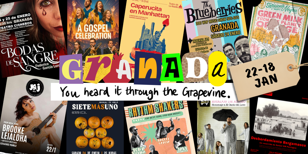 Indoor Culture for a Rainy Week 🌧️