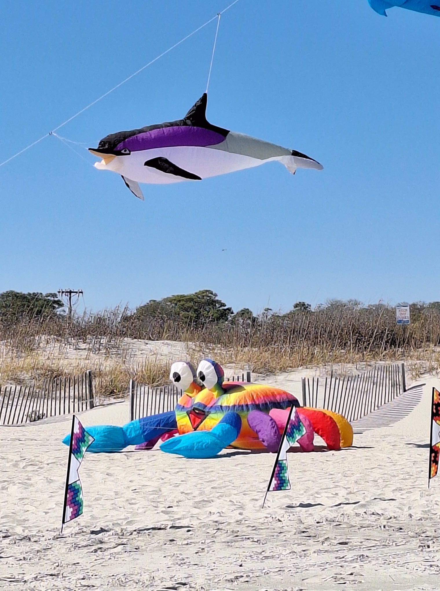 🏖️Myrtle Beach happenings and events week of 4/12/26