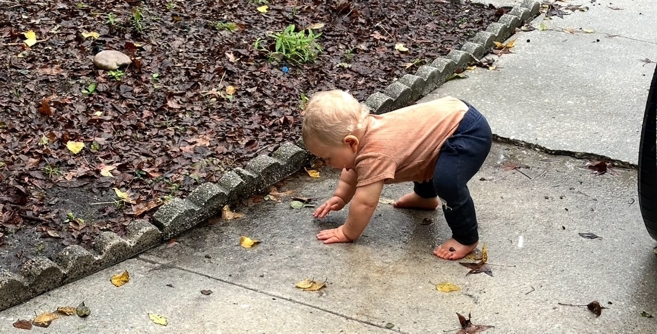 🌴Sunny Skies, Best Treats and Simple Days