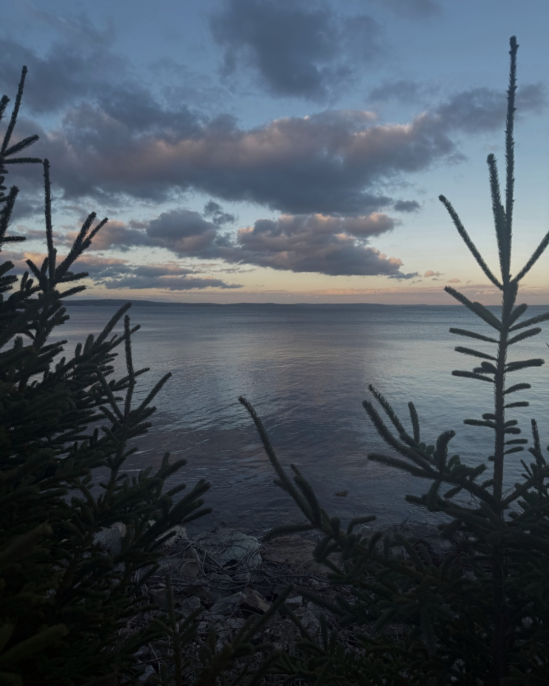 Is Now a Buyer’s Market or Seller’s Market on the South Shore?