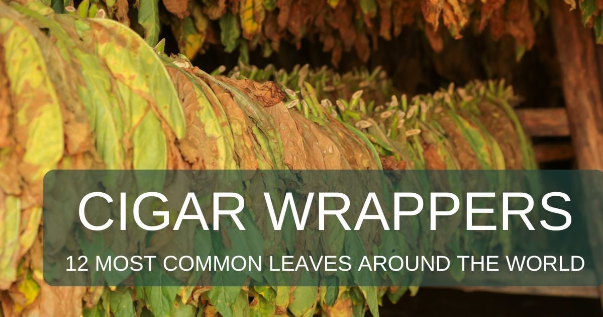 The World of Cigar Wrapper Leaves: A Flavorful Journey 🌍🍃