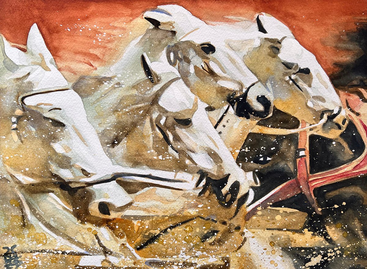 SHOP TALK: Rob Schamberger Newsletter 28DEC25