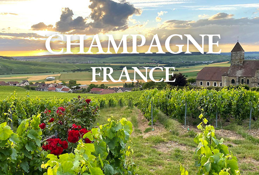 Your Champagne Guide, How Lakes Shape Wine, The Guide to Becoming a Somm, and much more...