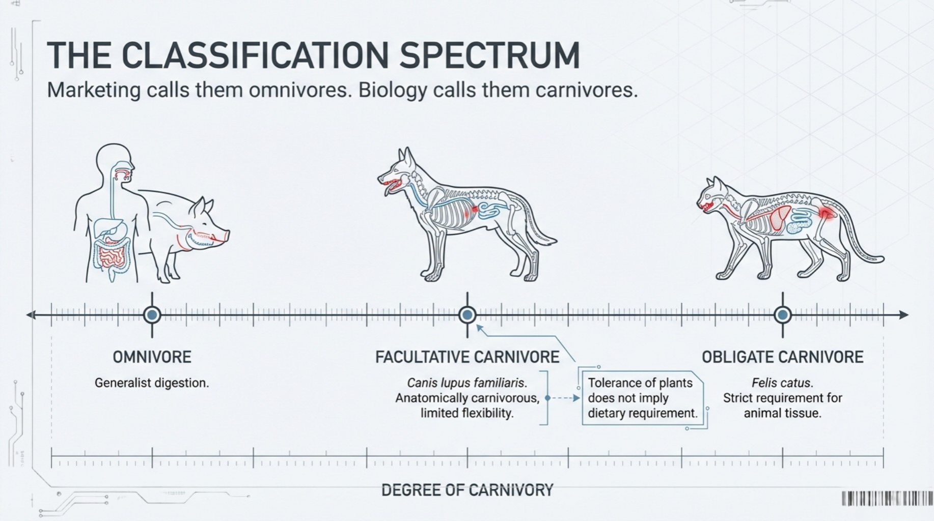 Species Appropriate Nutrition vs. Industrial Diets: Biological Design and Modern Feeding