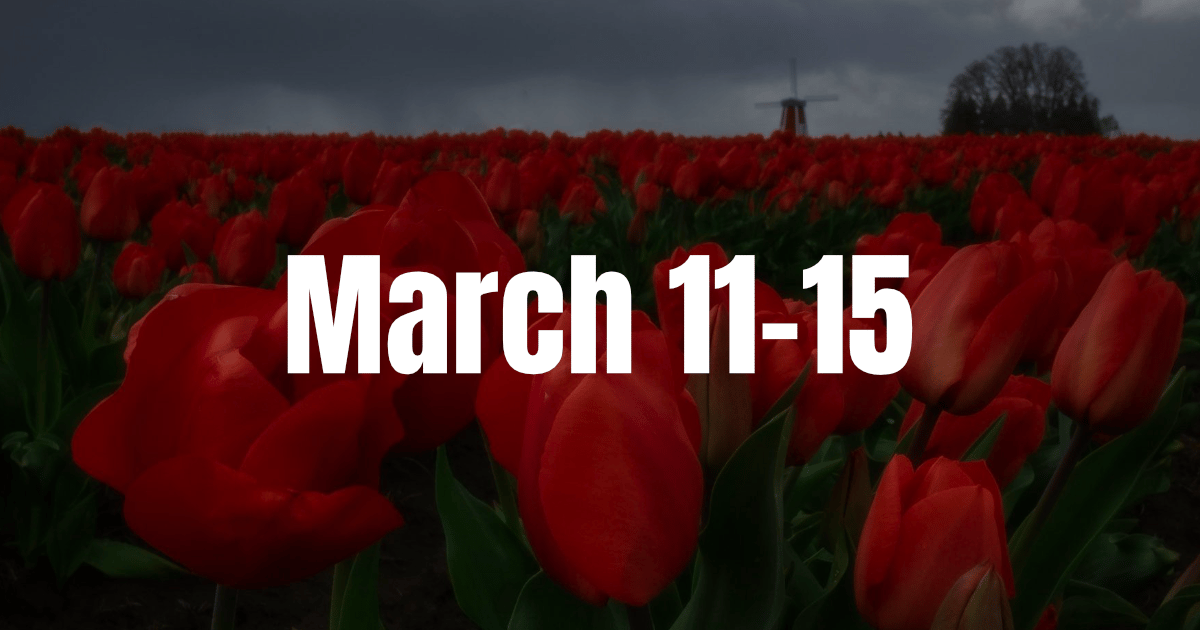 Hello Berlin! Here's what you need to know for your week March 11-15