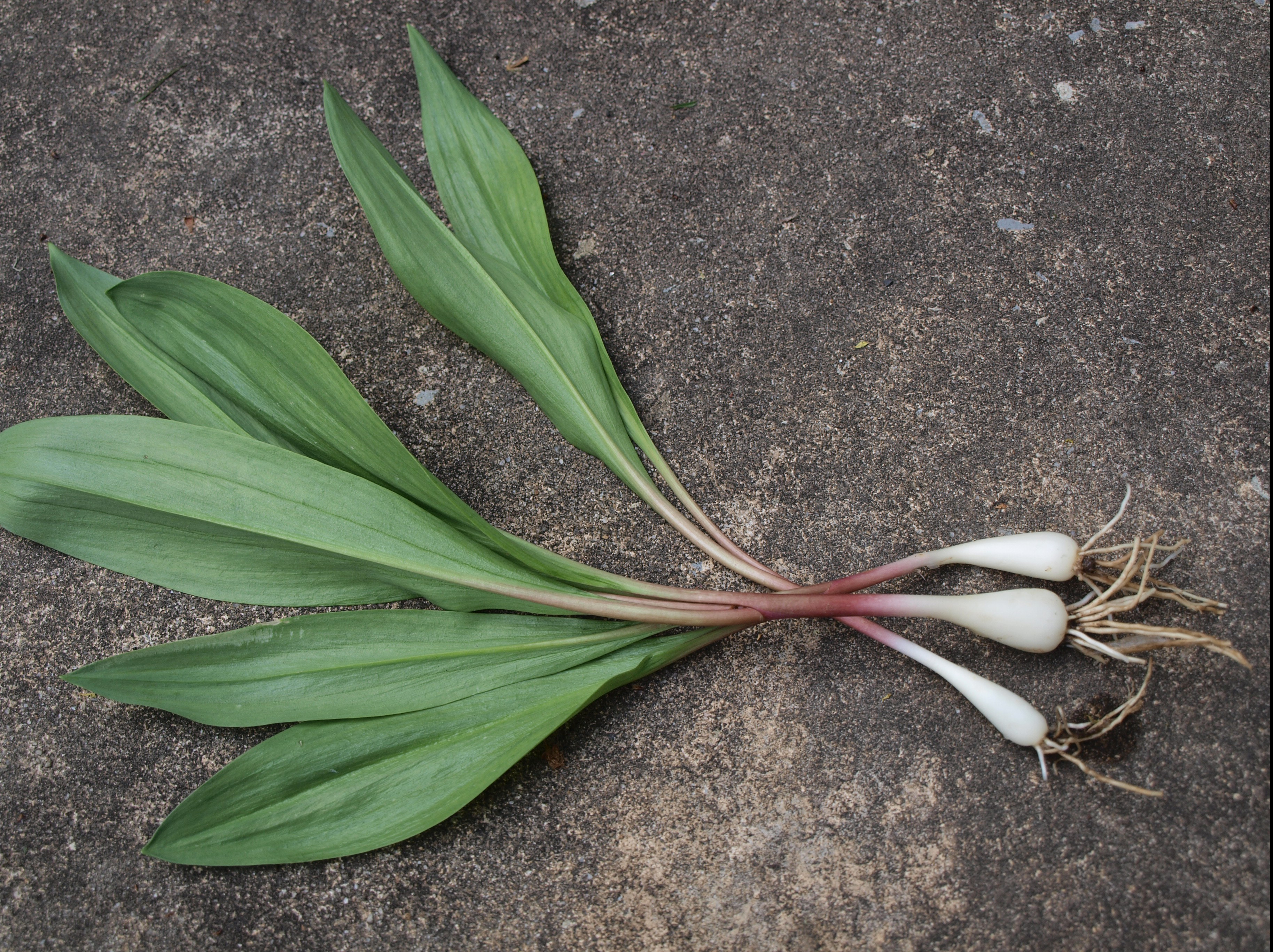 Last call for ramps!