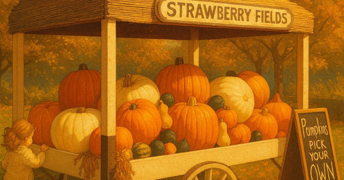 🦊 London is pouring