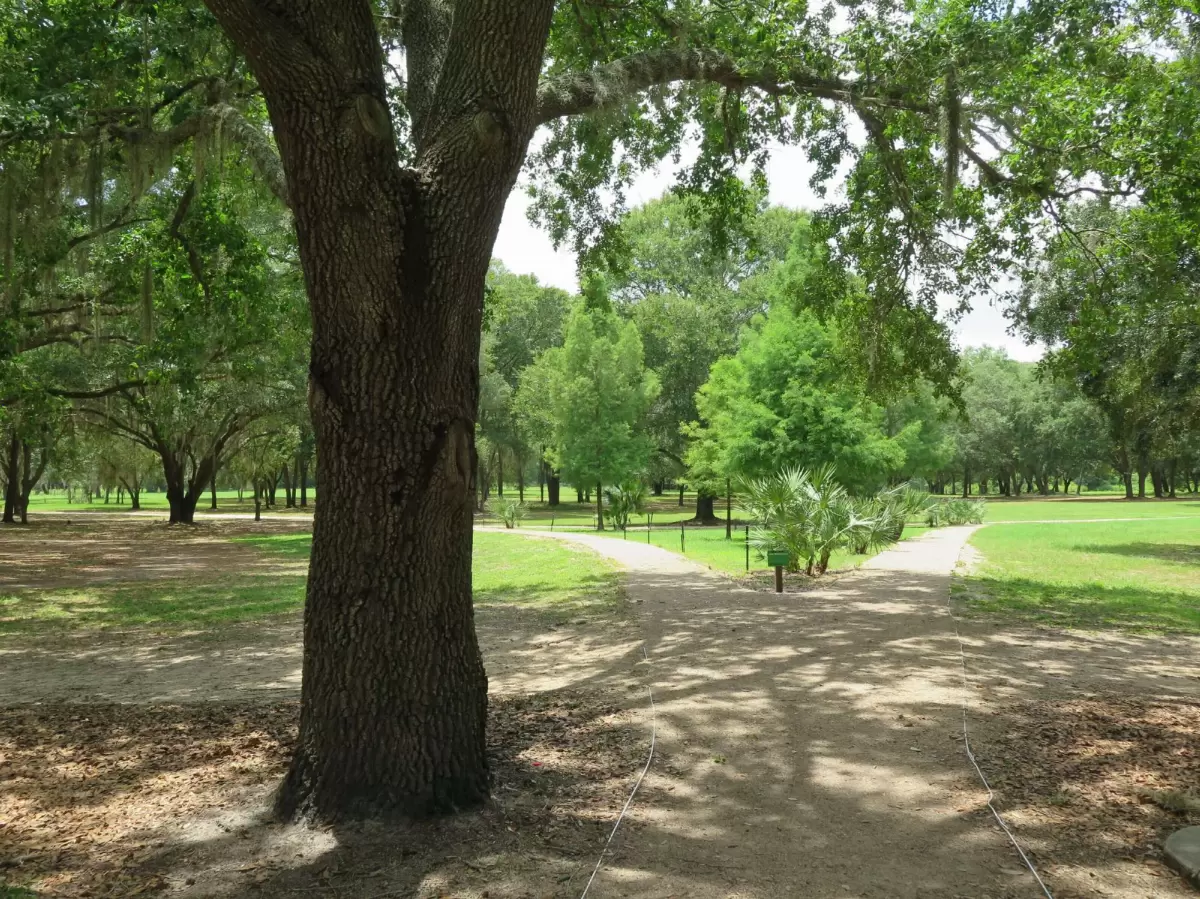 Best Dog Parks in Clermont, FL (2026 Guide)