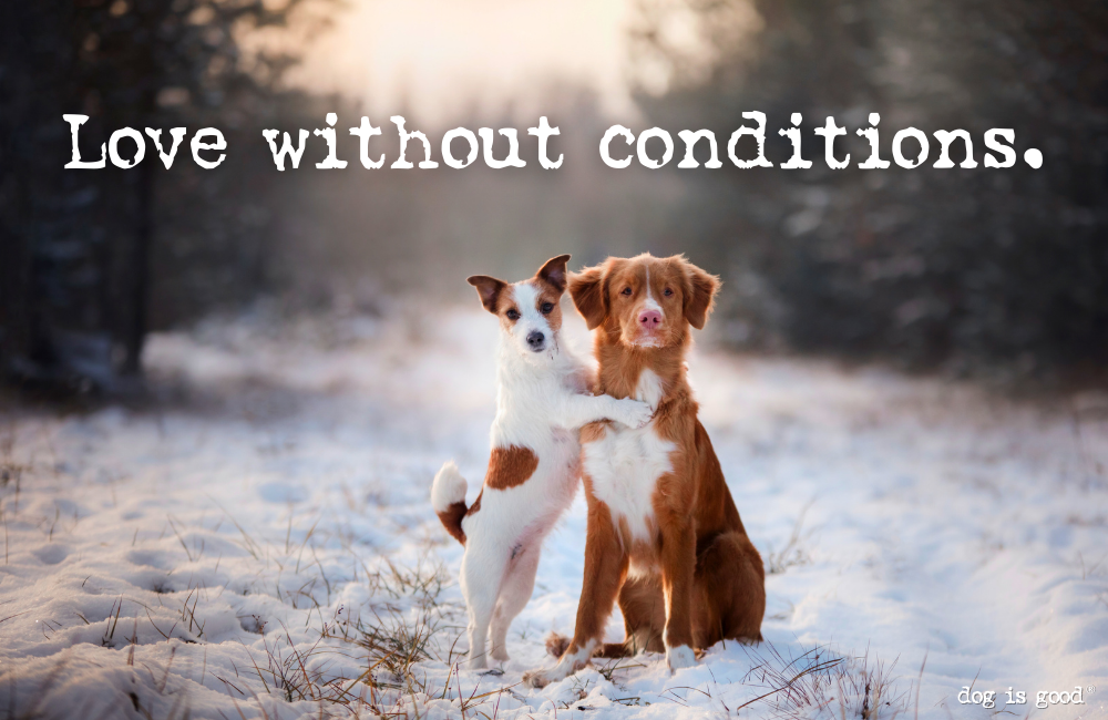 Love without conditions.