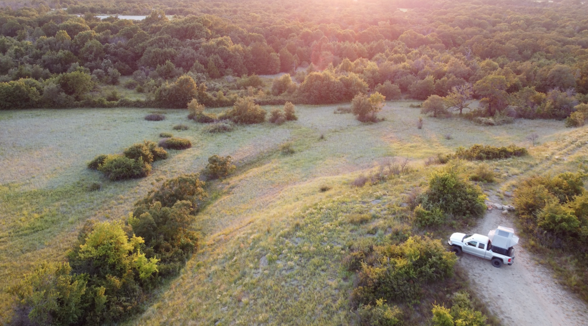The Texas Grasslands