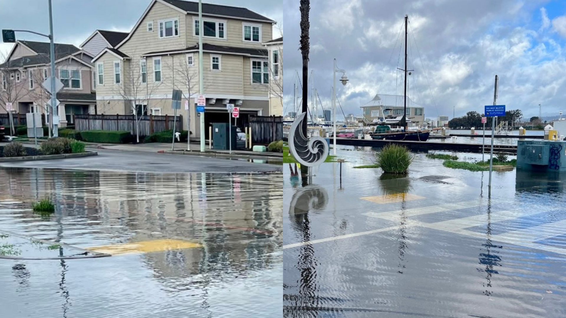 Things to do in Alameda, Jan 8th-14th