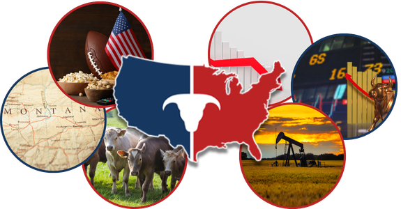 CATTLEUSA DRIVE - Thursday, February 5th