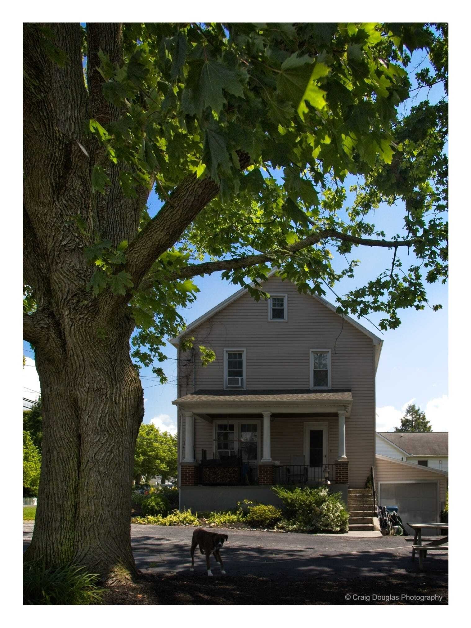 In Honor of an Old Friend