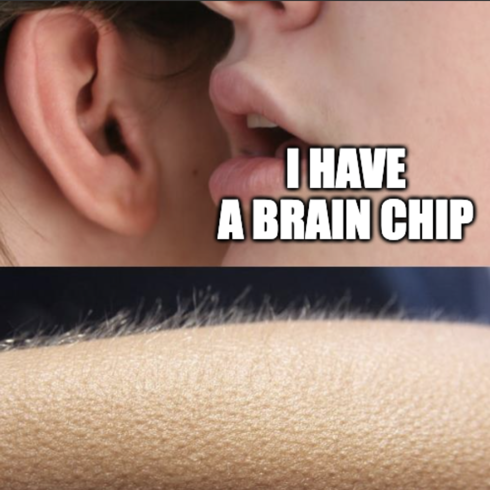 🏠 Mind, Meet Mouse