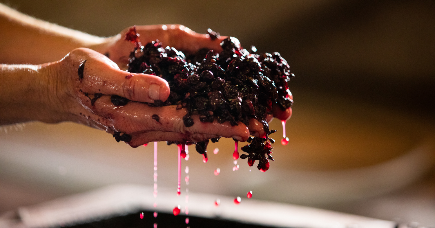 the mega purple & tannin powder in your wine