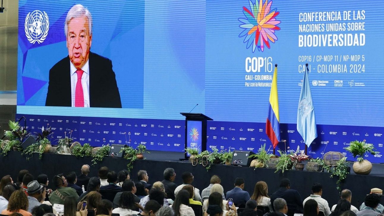 El futuro de la naturaleza se está discutiendo en la COP16 🌎