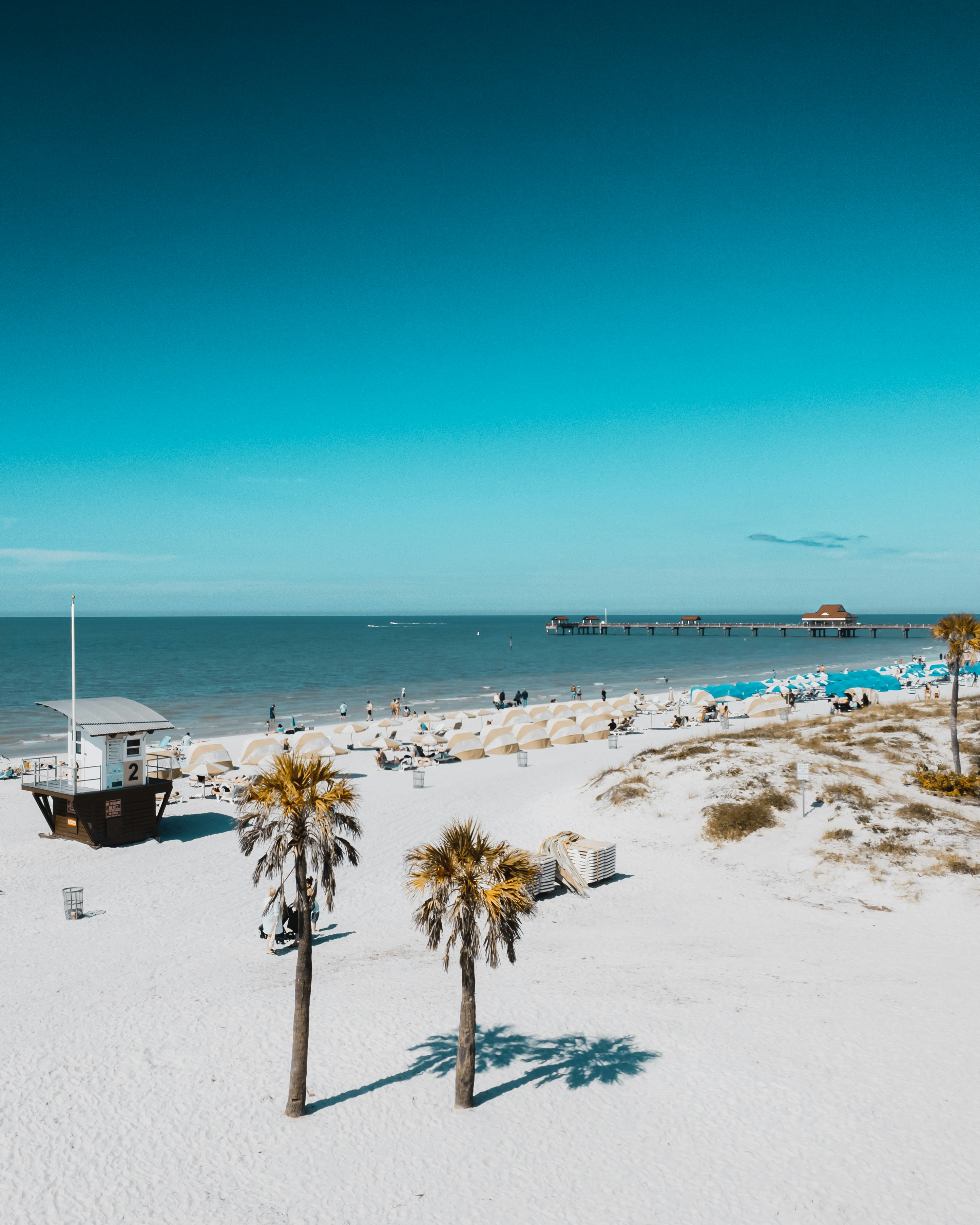 Extra! Extra! Your Free Clearwater Scoop