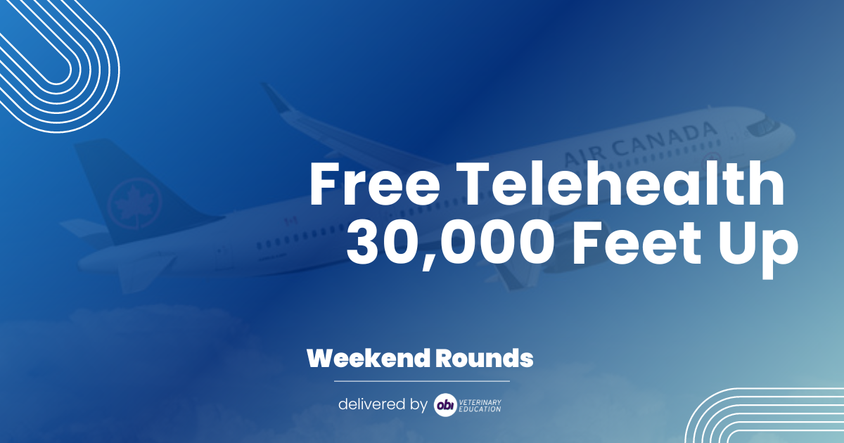 ✈️ Free Telehealth 30,000 Feet Up