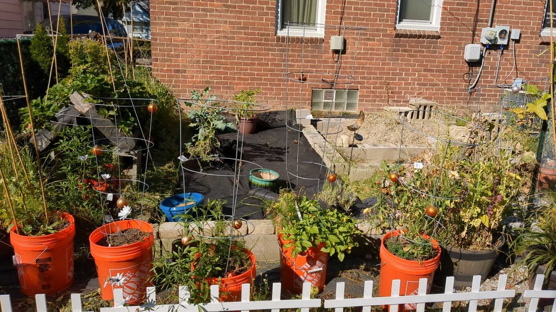 Learning How to Help Myself (Part 2)