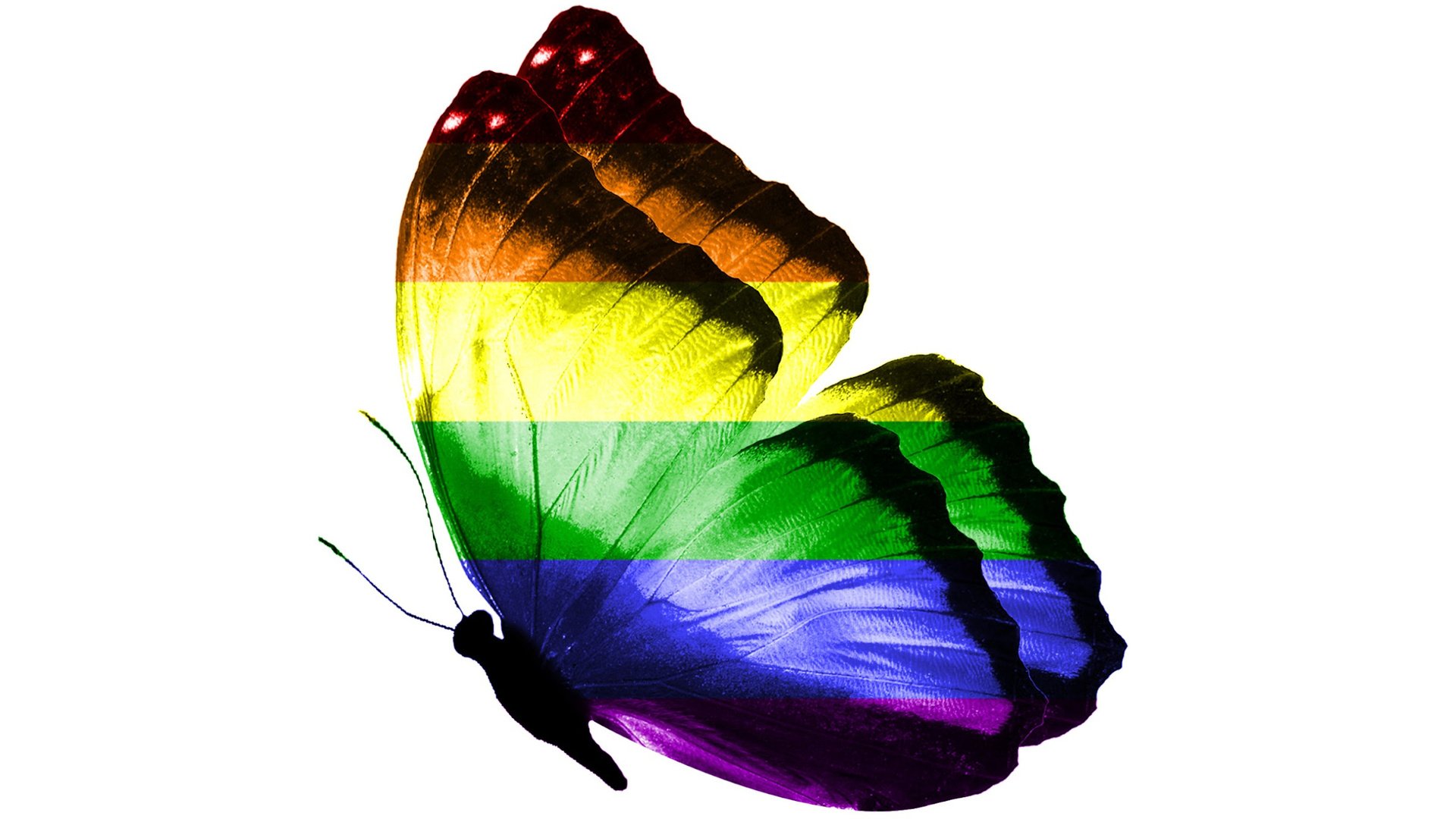 Celebrating Pride as an Introvert