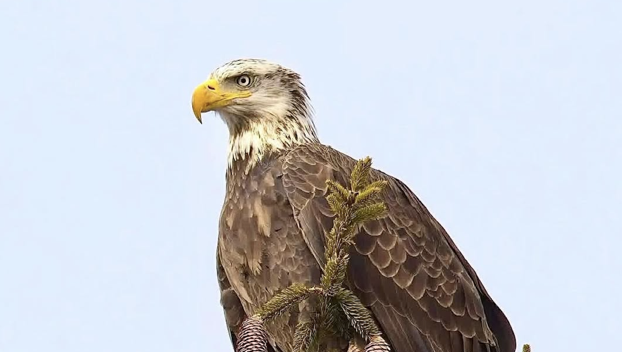 What's On This Weekend in Poughkeepsie (Jan 3-4)