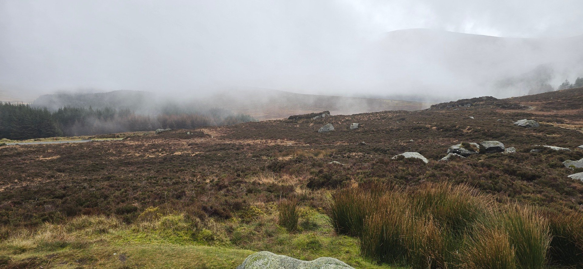 [Kerwin at Passrider.com] Video Tuesday, February 10, 2026