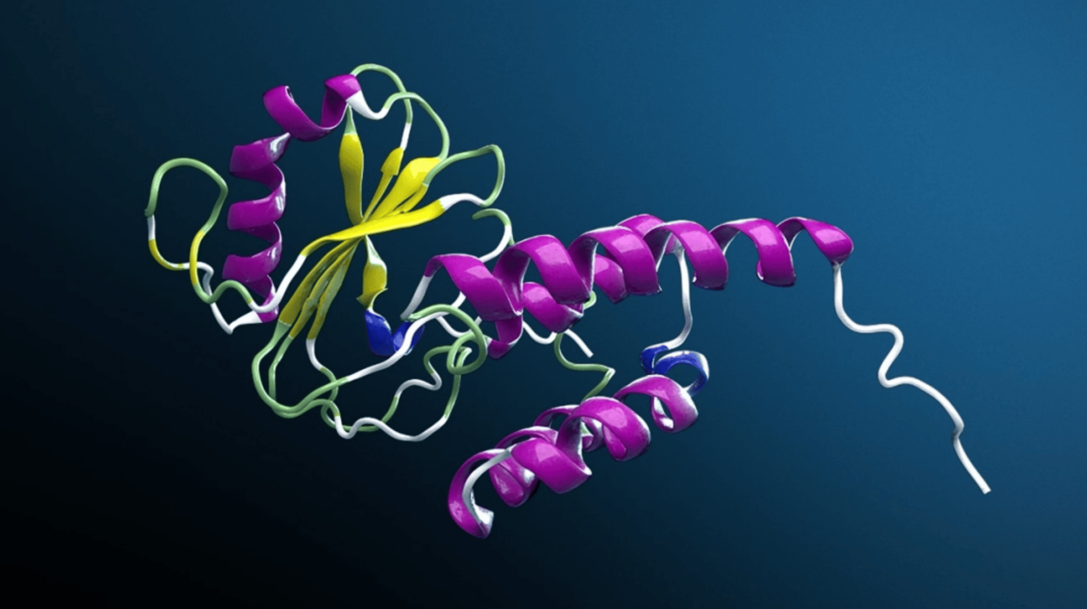 Immunology just got its own foundation model