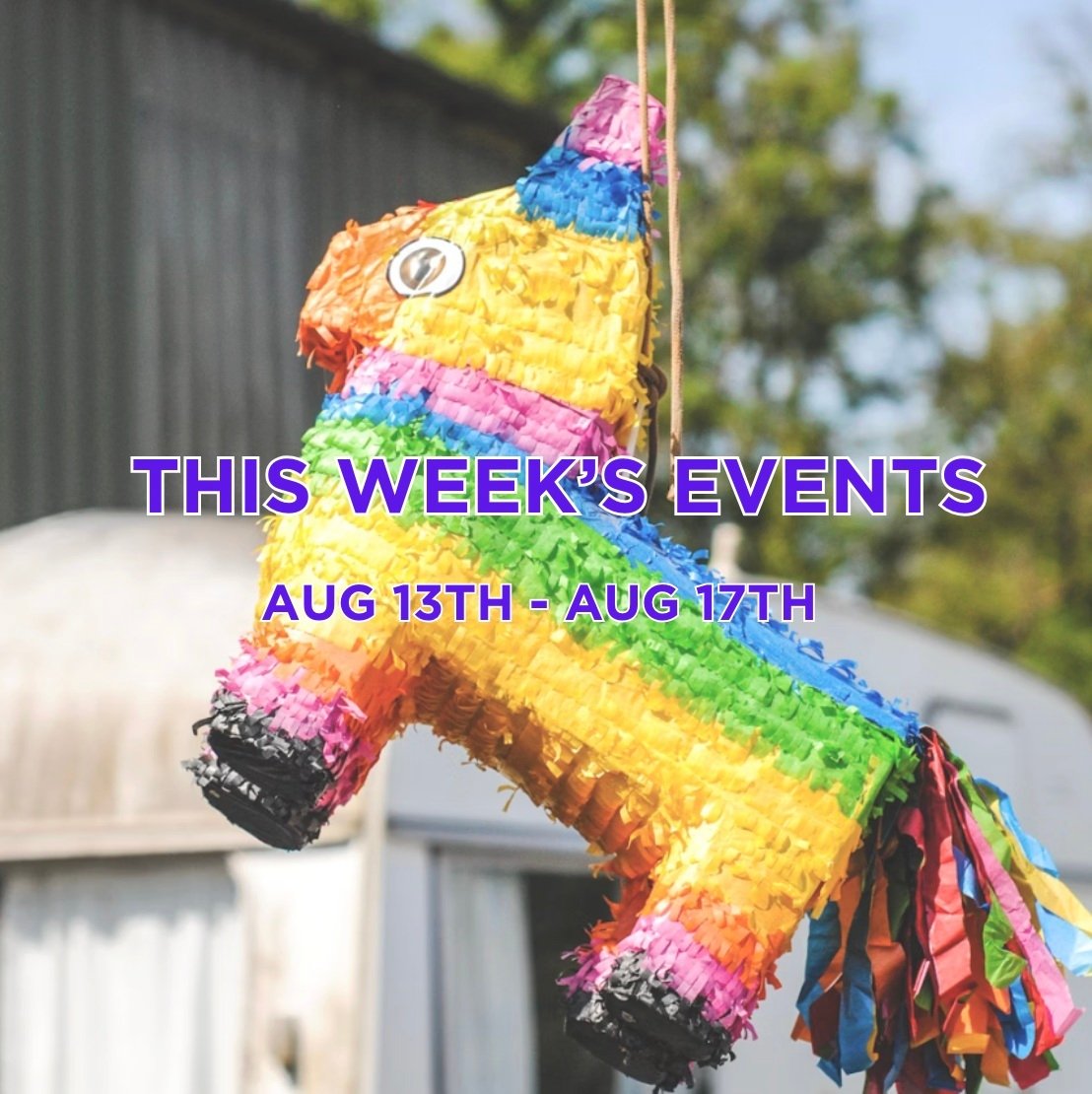 Antwerp Hive - Week 33