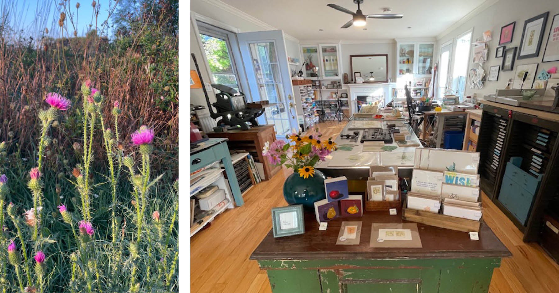 Studio Happenings: Autumn Edition