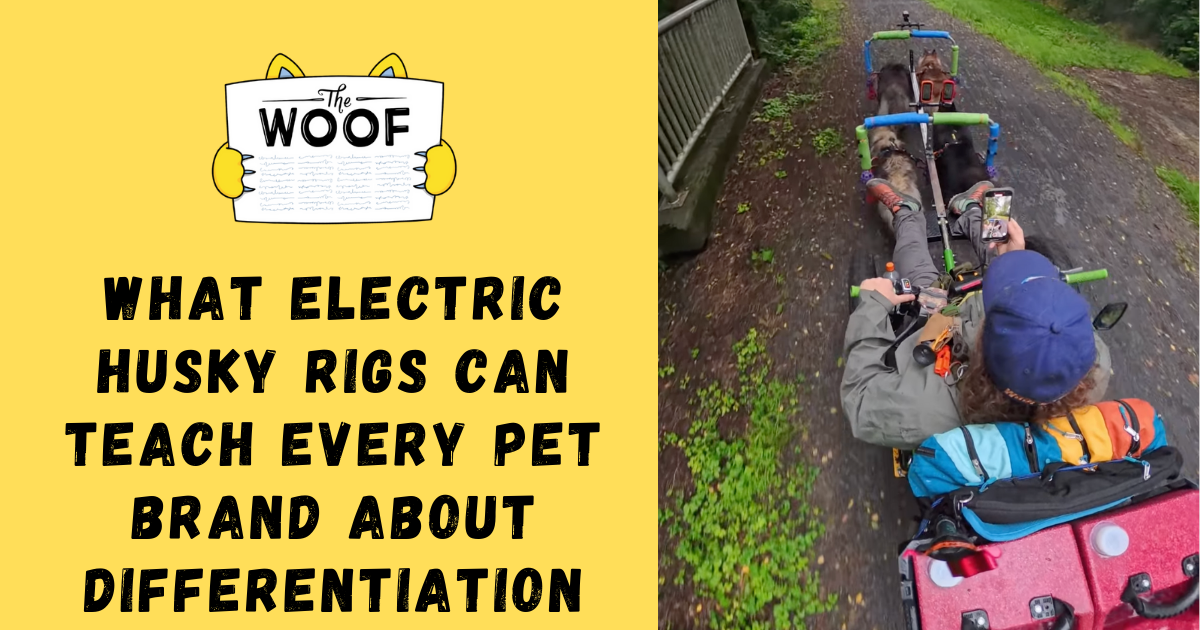 What Electric Husky Rigs Can Teach Every Pet Brand About Differentiation
