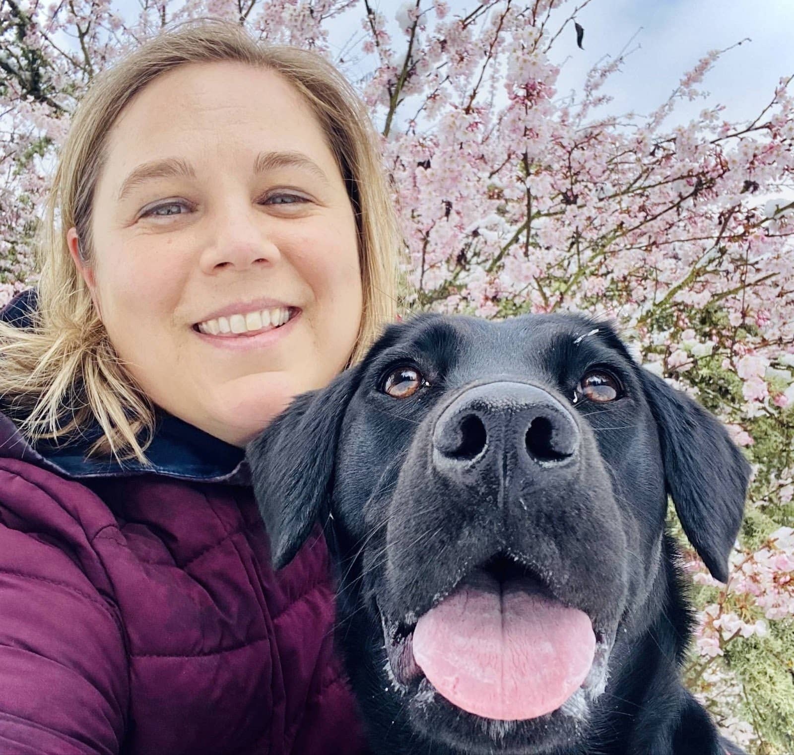 How a Montavilla Mom Navigates a Week of Unexpected Meal Plan Changes