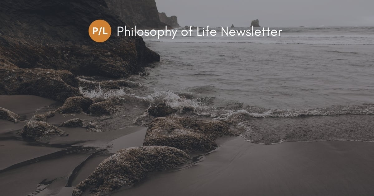 📜 Are Your Relationships Hobbesian or Kantian | Philosophical Ideas