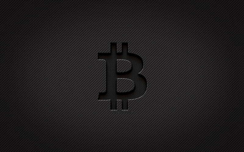 Bitcoin's Exponential Growth: The Power Law Behind the Boom