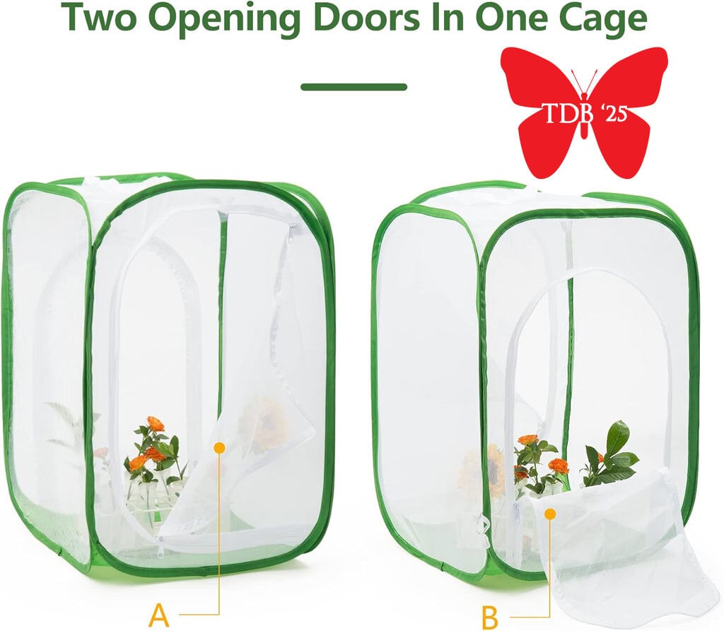 🌿🐛Caterpillar Cages + Accessories for 2026❓