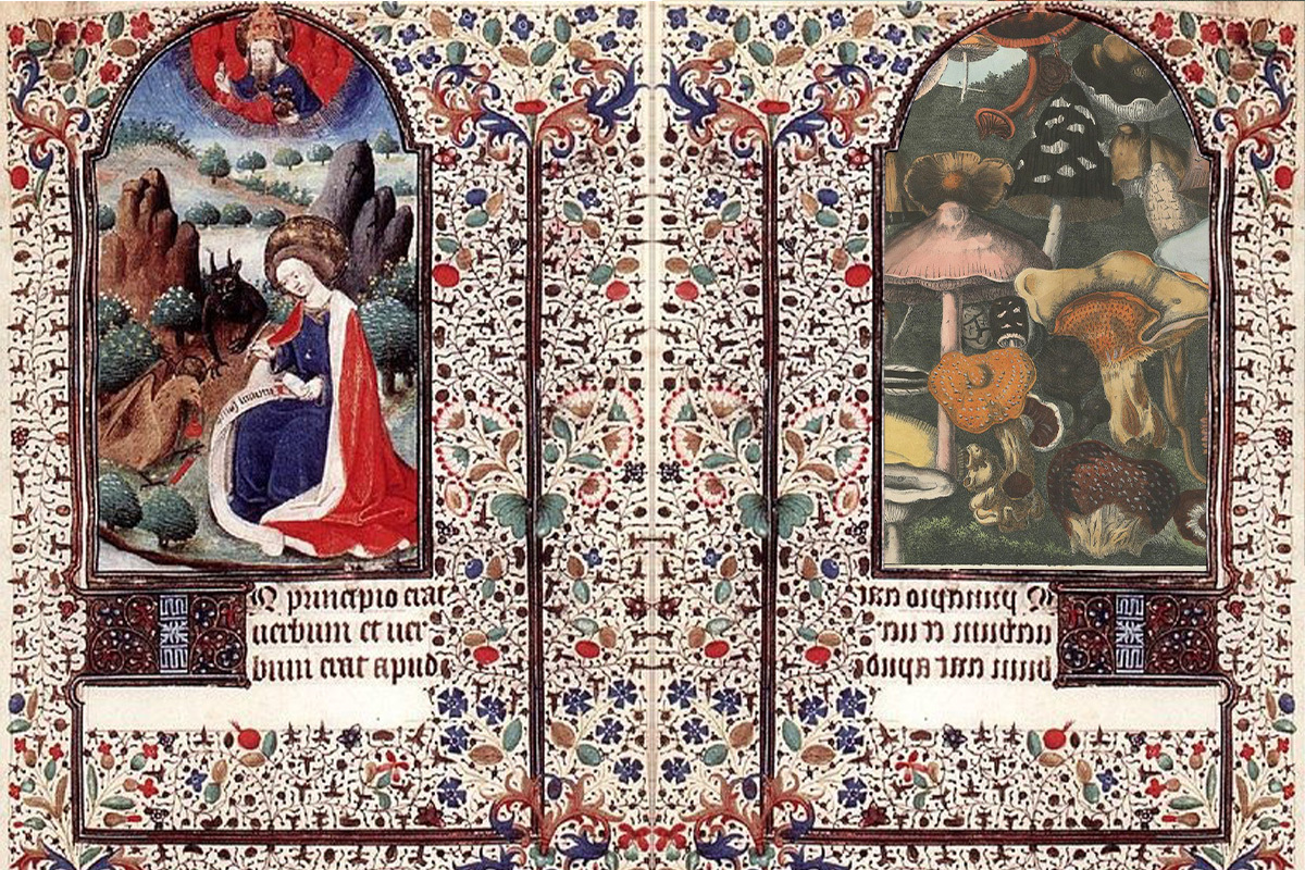 How Mushrooms Healed My Catholic Guilt