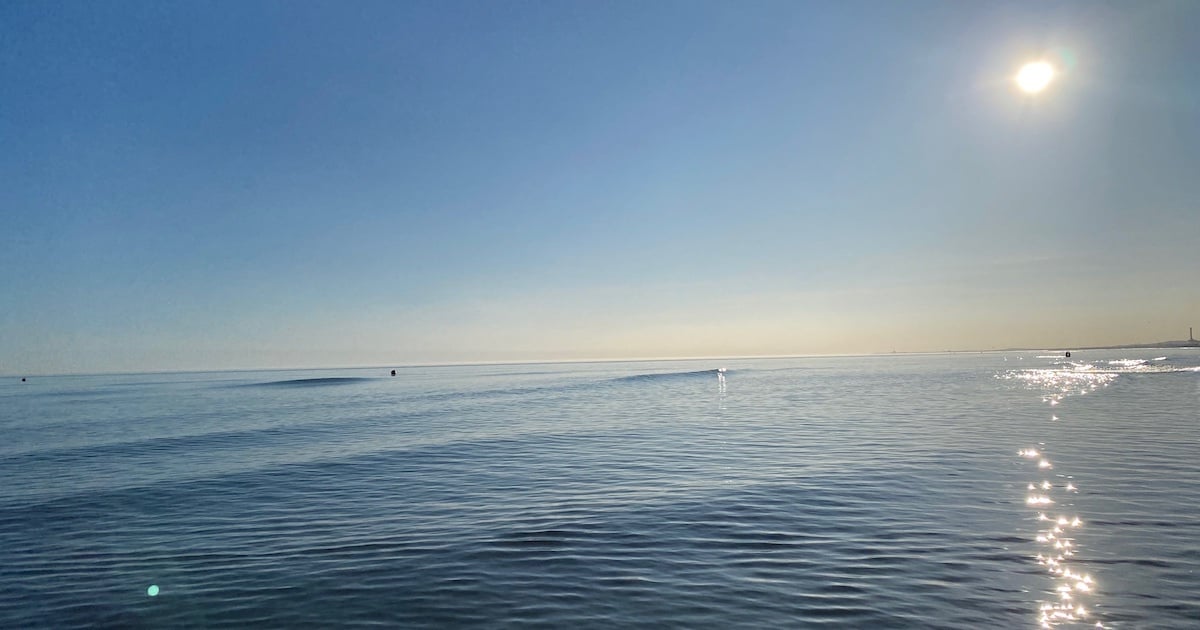  🍦 Summer's back on