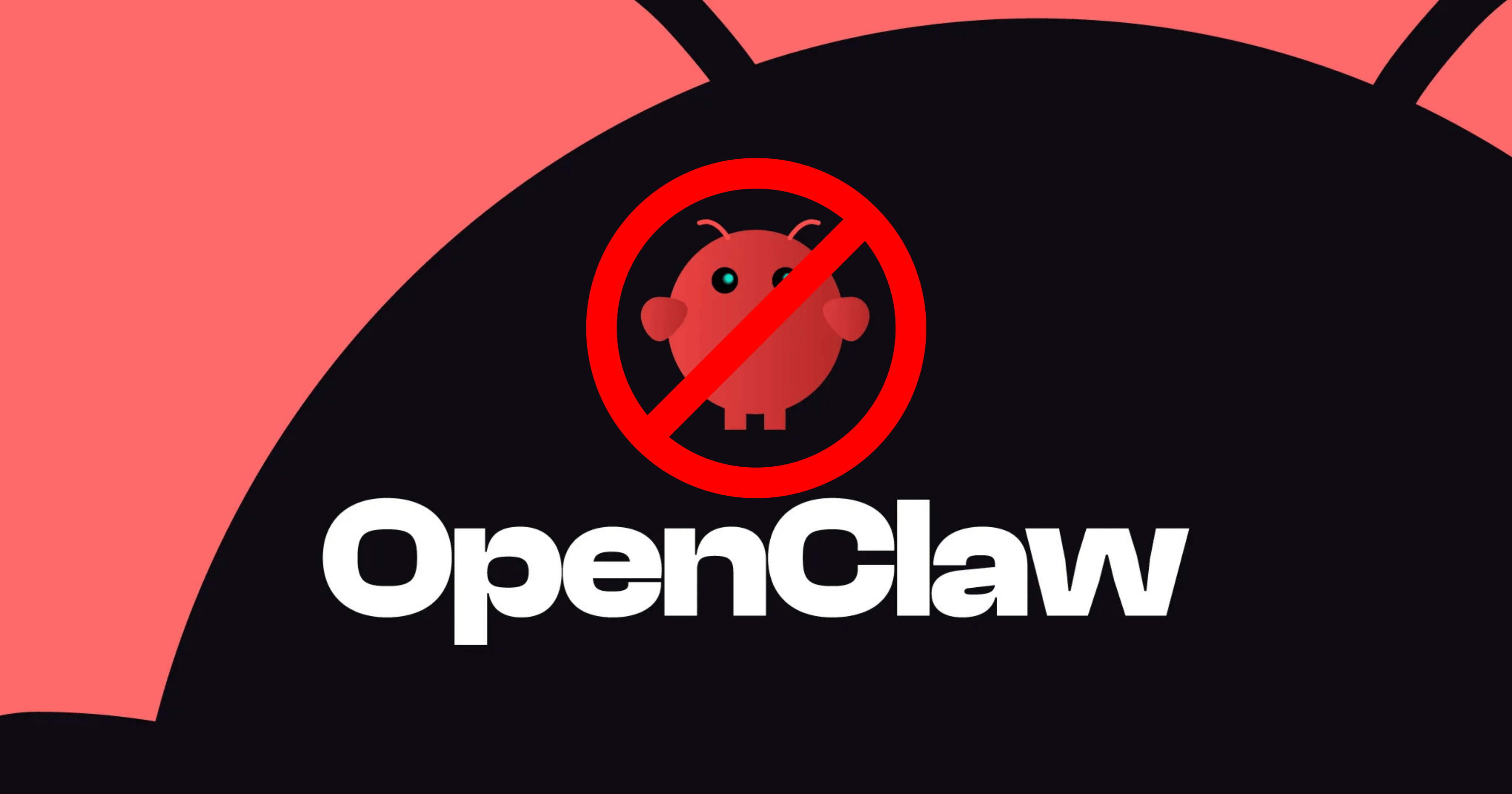 What's new in DevEx - February 19