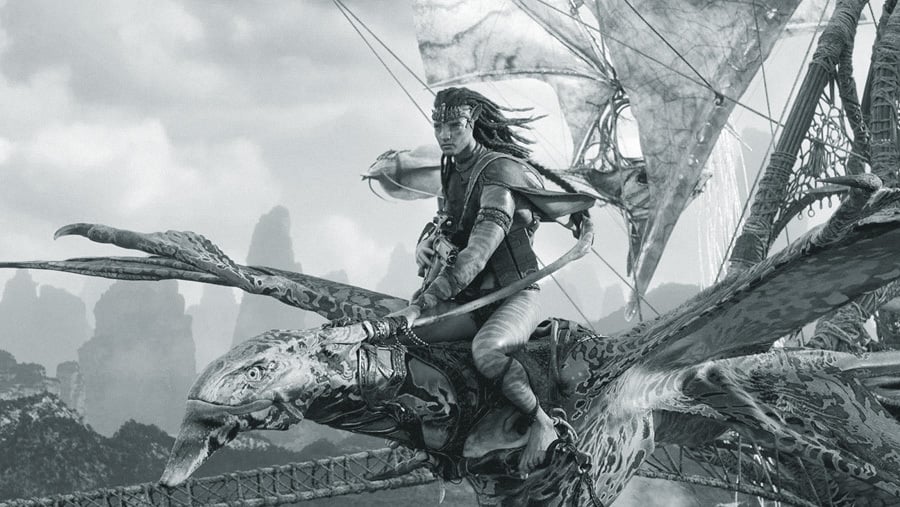 Hollywood’s International Divide