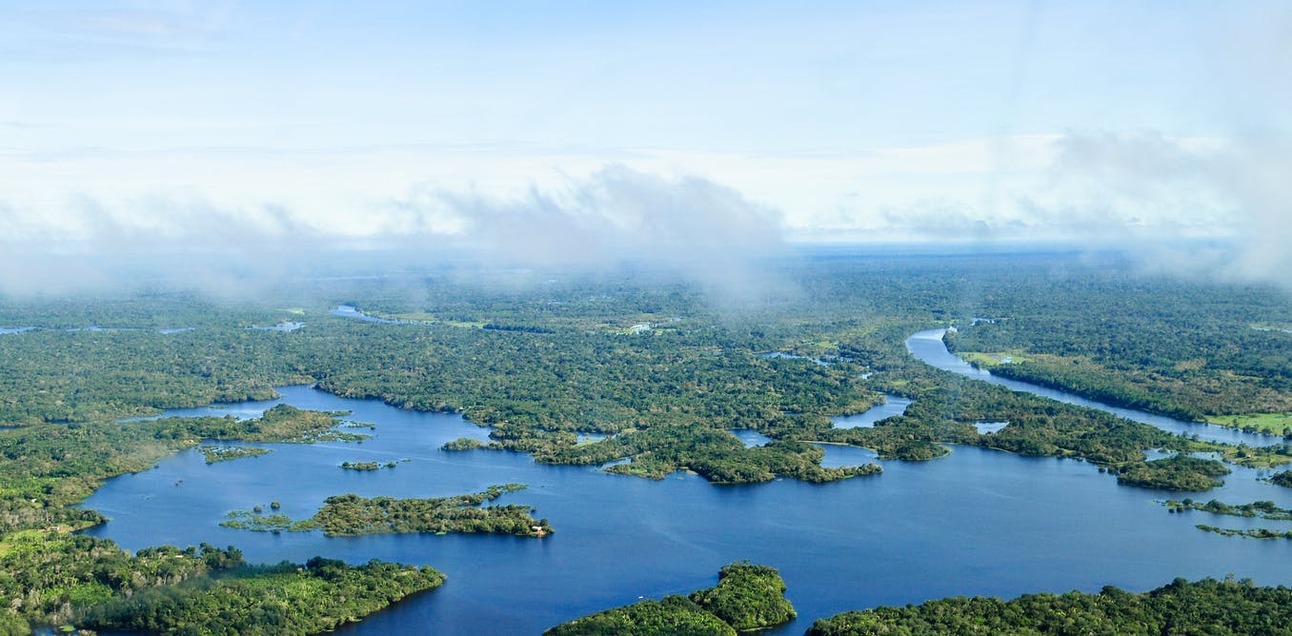 In the Amazon, forest degradation is outpacing full deforestation
