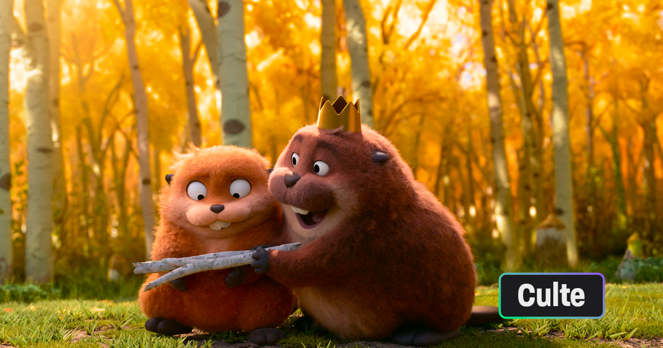 Père Castor, raconte-nous ton histoire