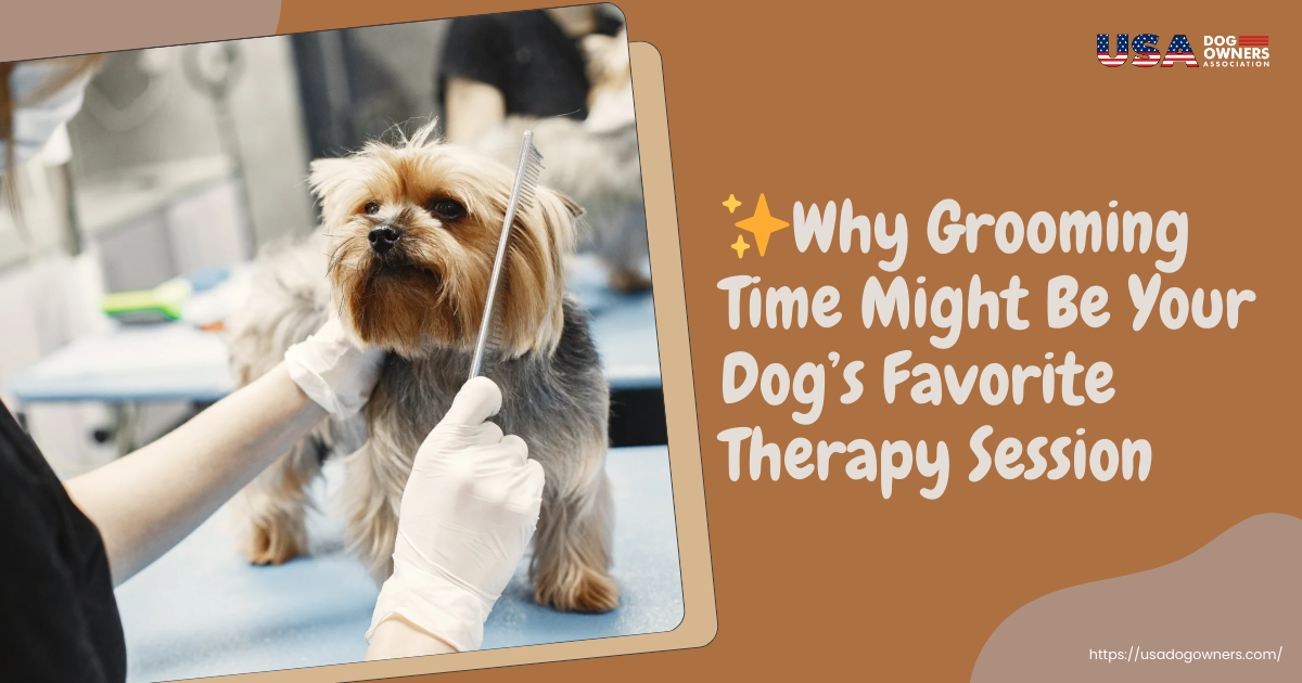 ✨Why Grooming Time Might Be Your Dog’s Favorite Therapy Session