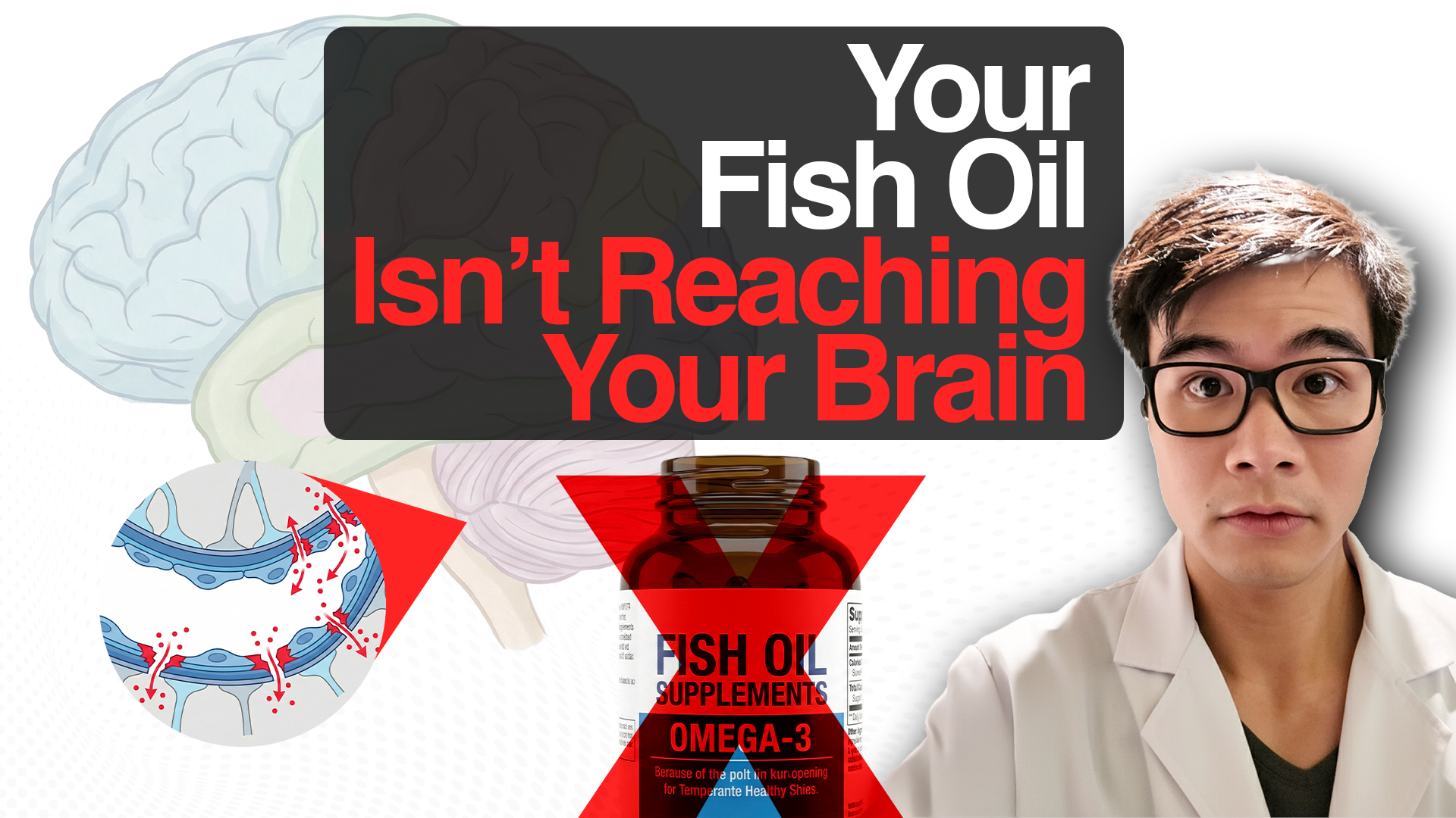 Why Your Fish Oil Isn't Reaching Your Brain - And What To Do About It (APOE4 carriers)