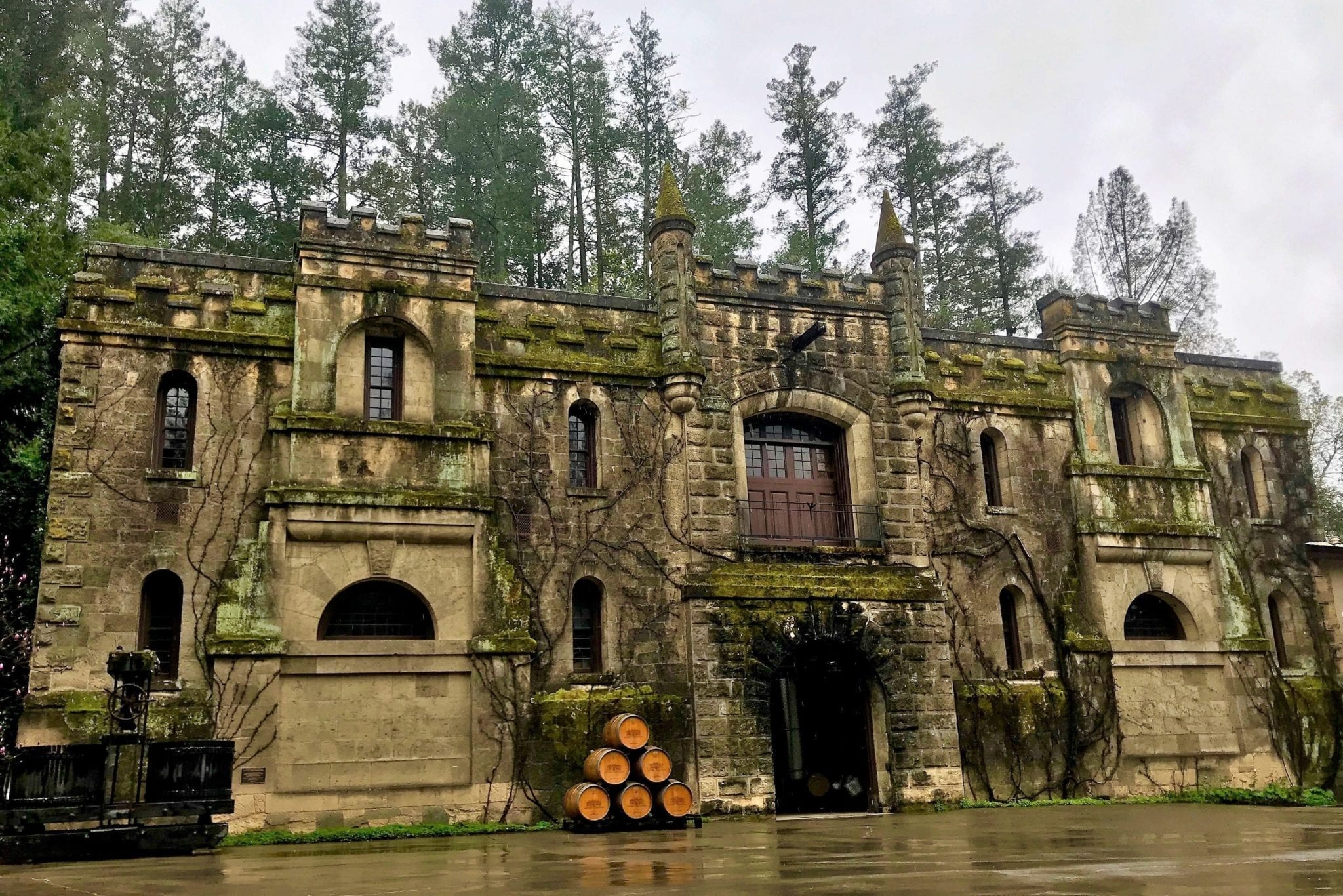 The Wine That Changed Napa