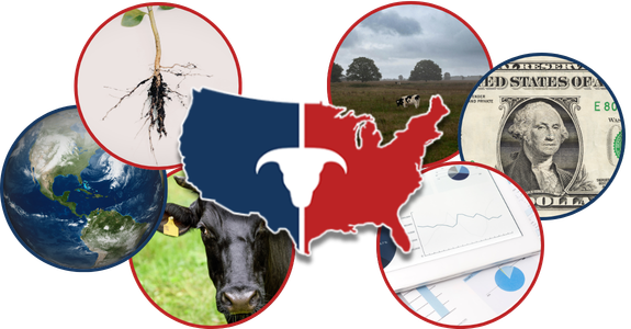 CATTLEUSA DRIVE - Monday, February 2nd