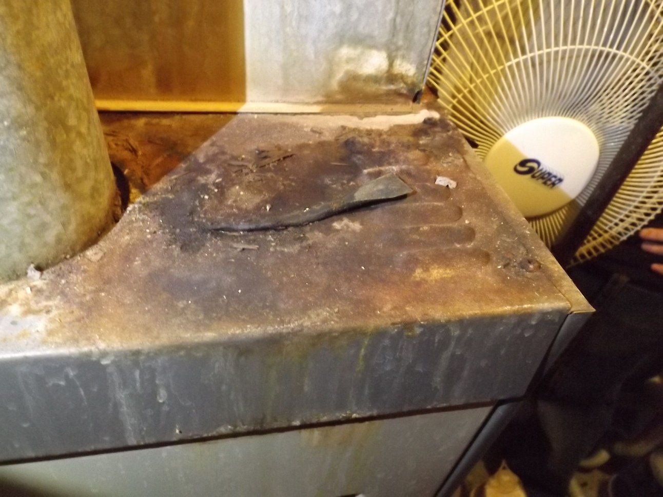 💥 This House Had a Smell...
