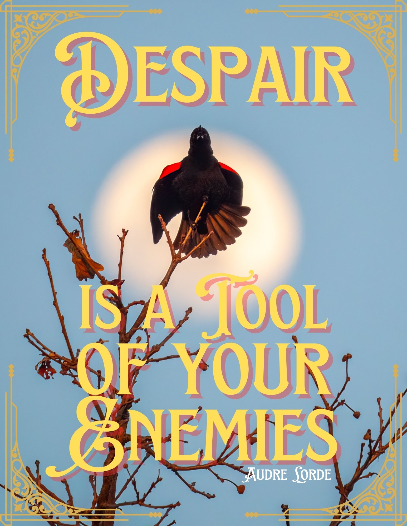 staying informed without staying inflamed