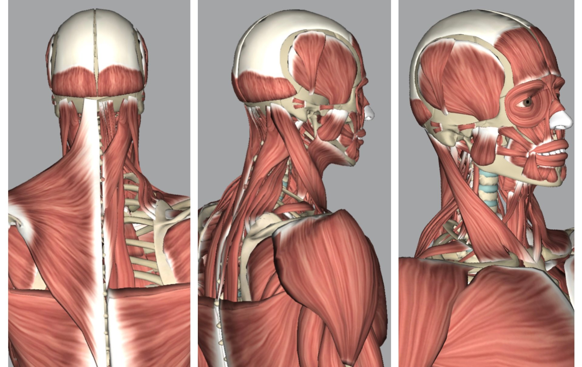 This Tiny Habit Is Costing You Stability